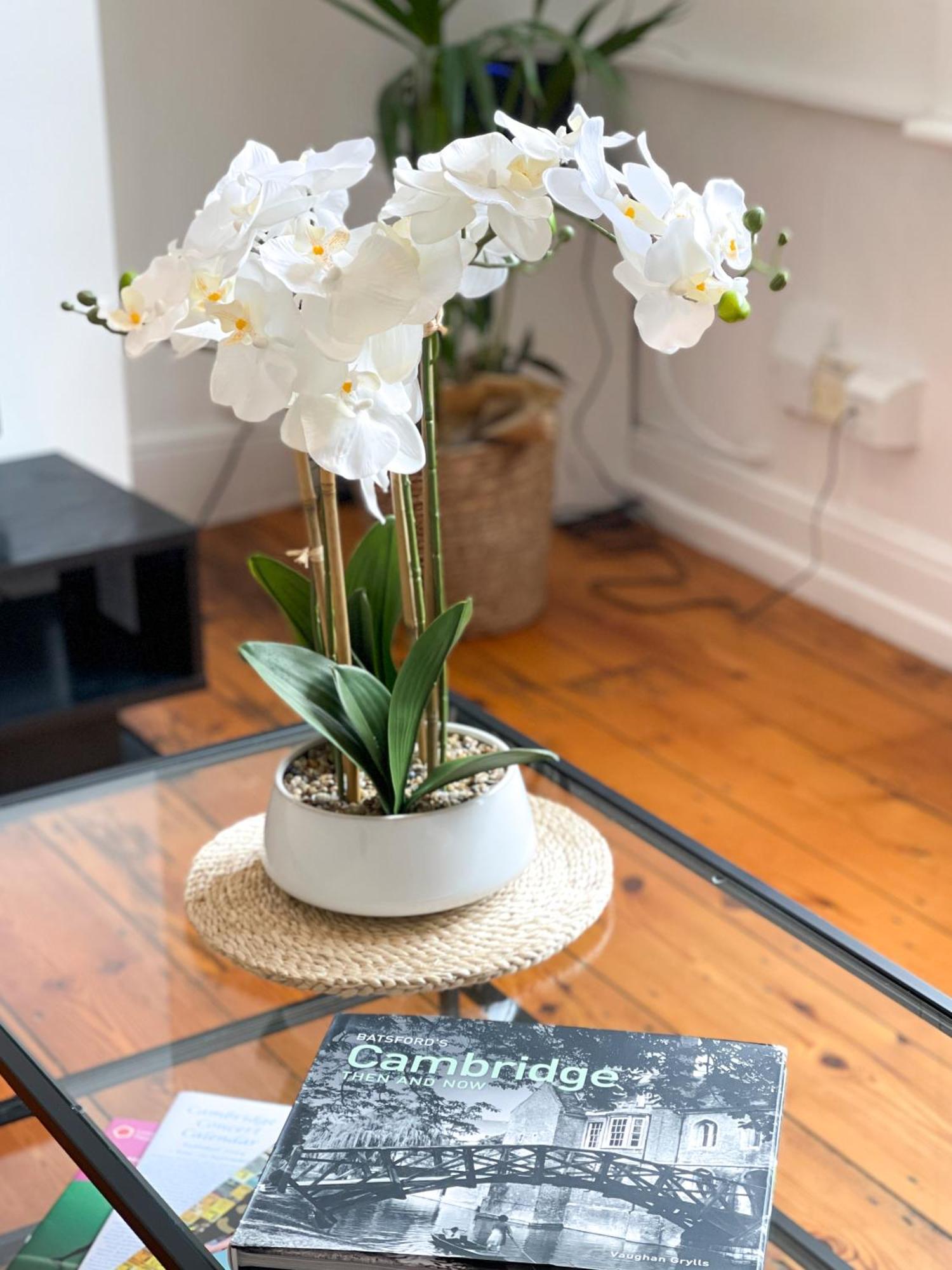 Fantastic Victorian House, Excellent City Location - Cambridge Homehost ภายนอก รูปภาพ
